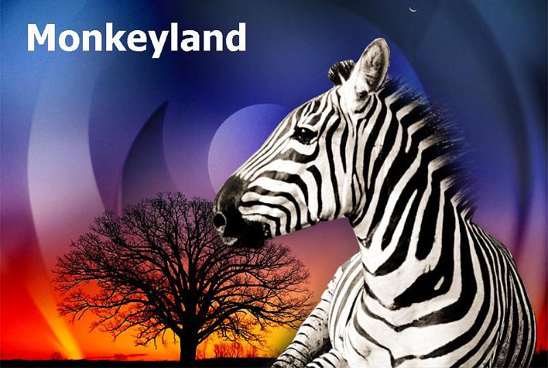 Monkeyland (0).jpg